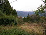 家から見た風景