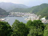 錦湾
