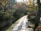 f02b305c.jpg
