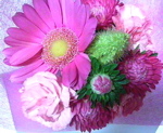 bouquet