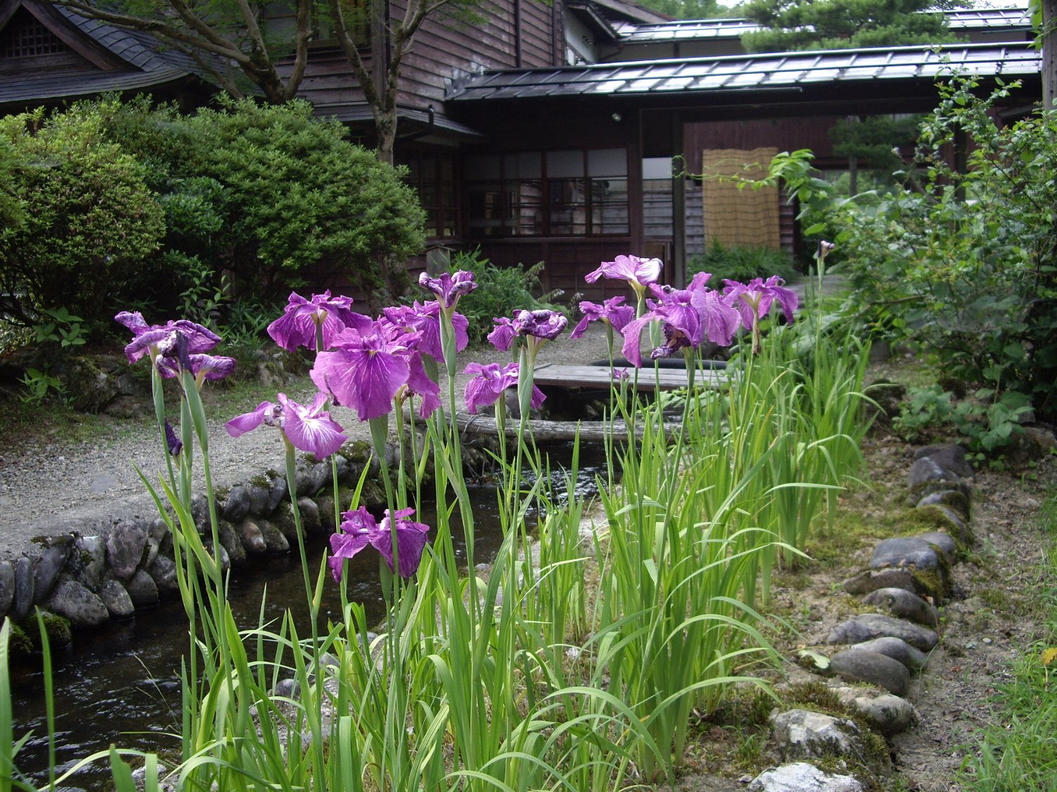 2008������񥪥ղ�ز֡�