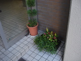 いう