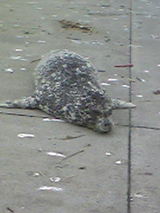 dba0264a.jpg