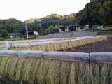 0a970249.jpg