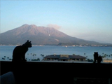 BlogPaint