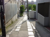 kimidori