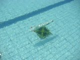 090920�쥬�å�-13