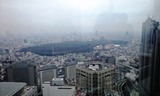 明治神宮