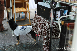 07-yoDSC_6914.JPG