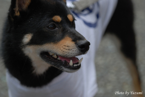 13-yoDSC_2337.JPG