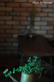 01-DSC_7496.JPG