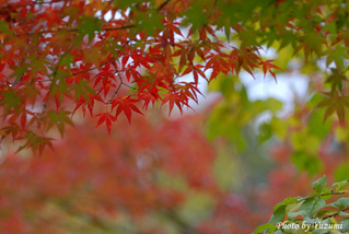 01-yoDSC_4680.JPG