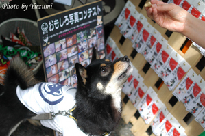 09-yoDSC_6921.JPG