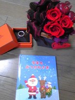 吉崎直緒