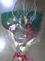 吉崎直緒