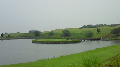 8c53c61c.jpg