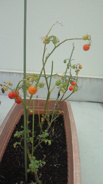 e7368d24.jpg