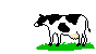 cow_mo