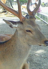 1e538ca1.jpg