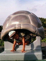 �컳ưʪ�୦