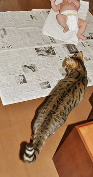 �ʤˤ��Ƥ�Ρ�