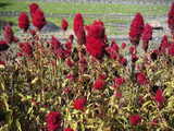PICT0643