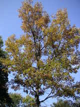 PICT0321