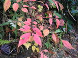 PICT0428