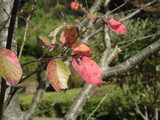 PICT0386