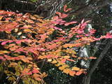 PICT0434