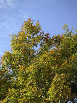 PICT0456