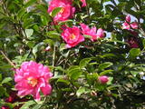 PICT0459