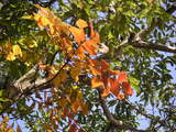 PICT0298