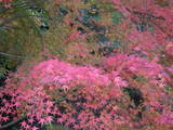 PICT0382