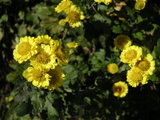 PICT0427