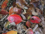 PICT0432