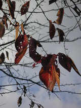 PICT0603