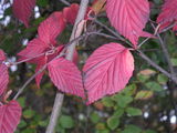 PICT0408