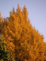 PICT0576