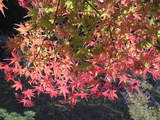 PICT0458