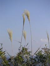 PICT0299