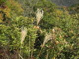 PICT0455