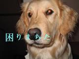 ���ޤä���