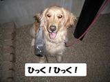 よは2