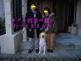 四季の蔵