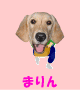 4ecedd2d.gif