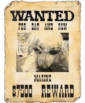 wanted