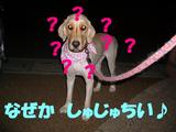 ¥?