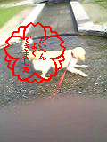 05-09-05_22-38.jpg