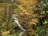 c58f3342.jpg
